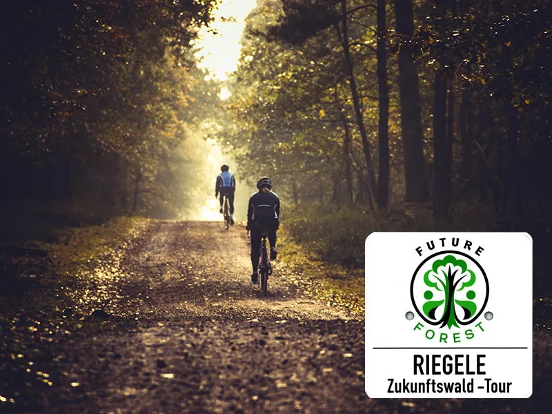 Die Riegele Zukunftswald Tour  | Riegele