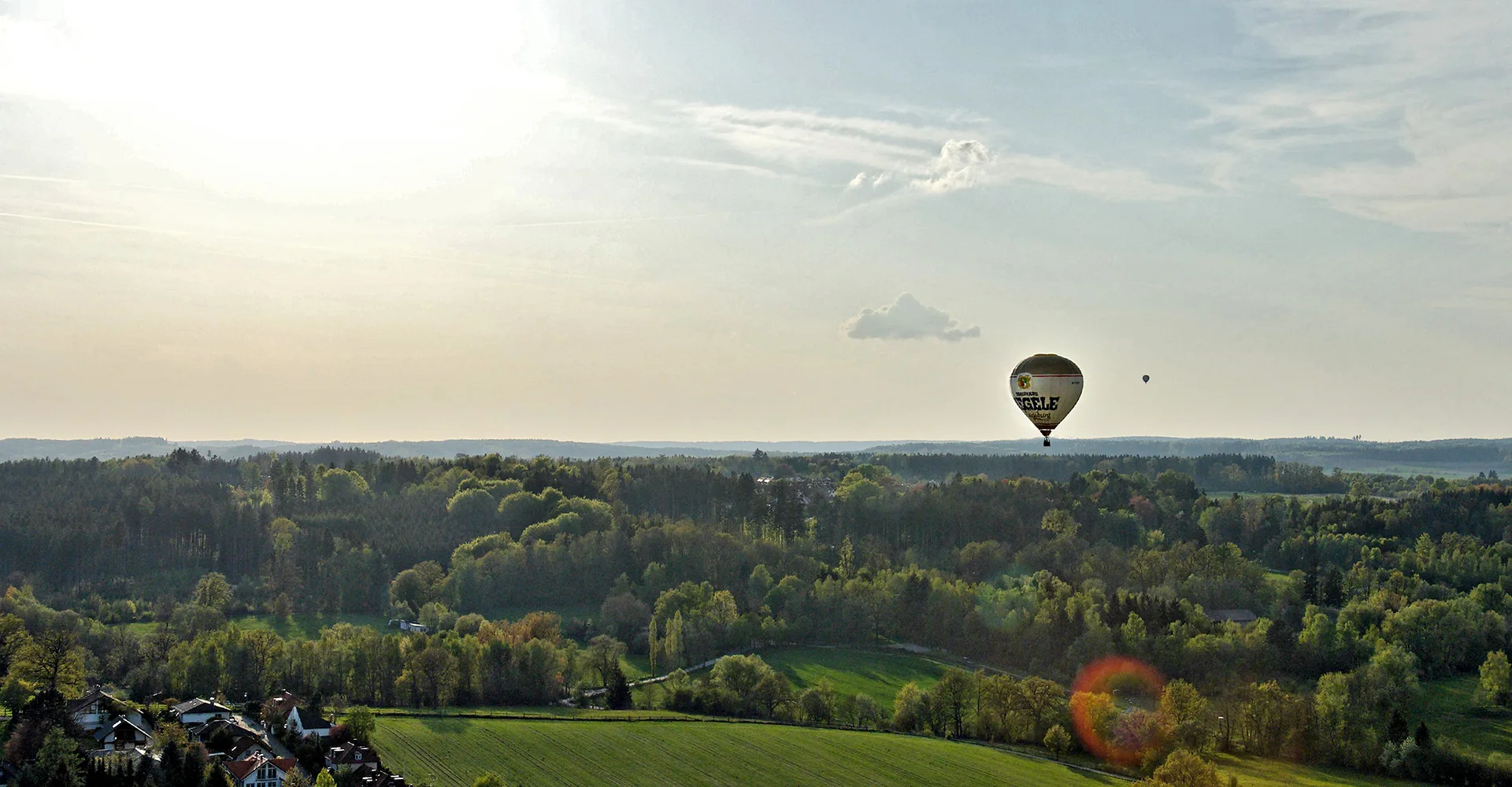 Der Riegele Zukunftswald | Riegele