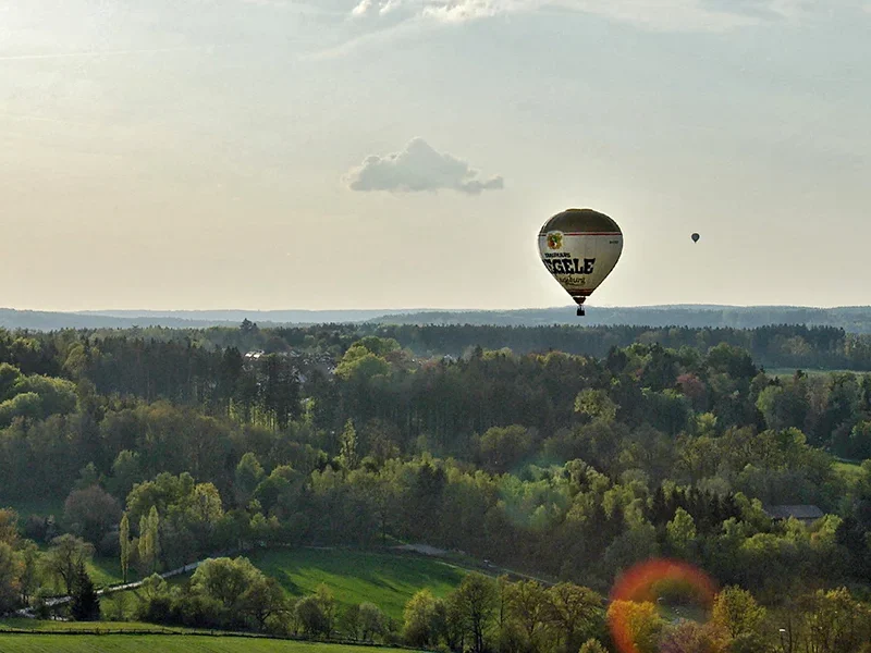 Future Forest  | Riegele