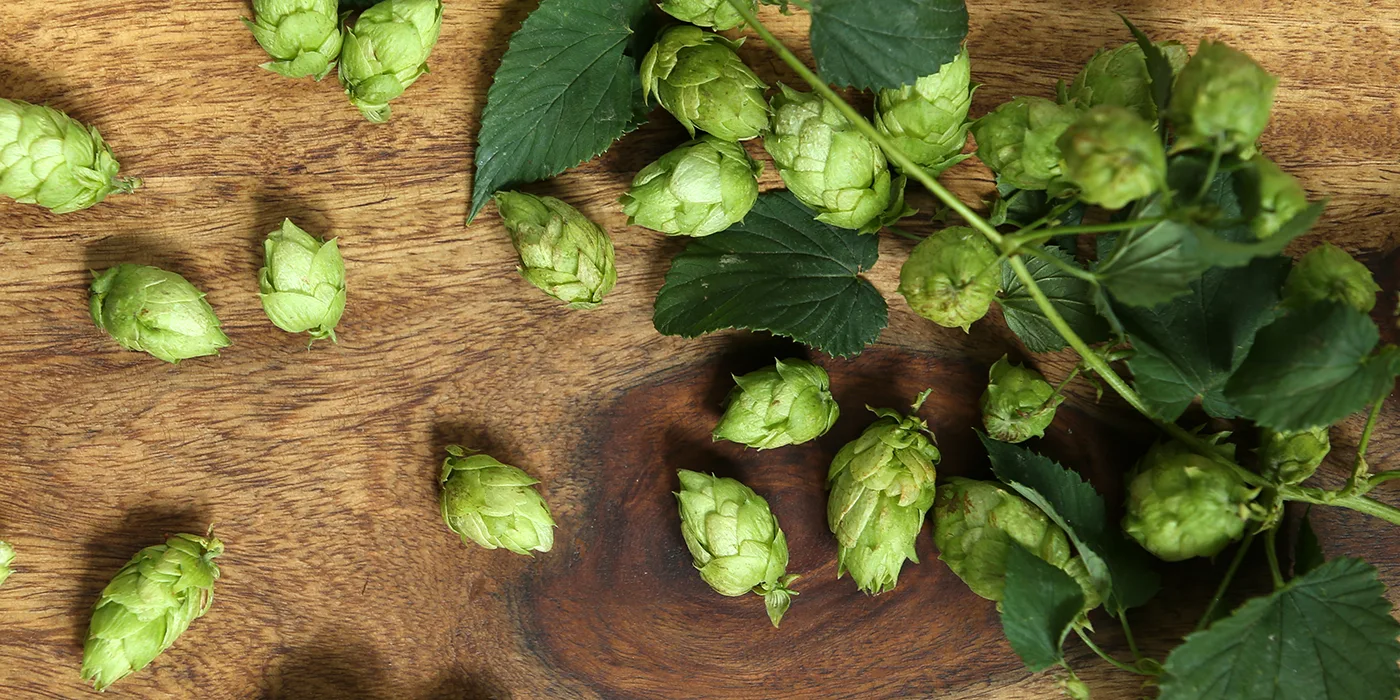 Nachhaltigkeit | Riegele