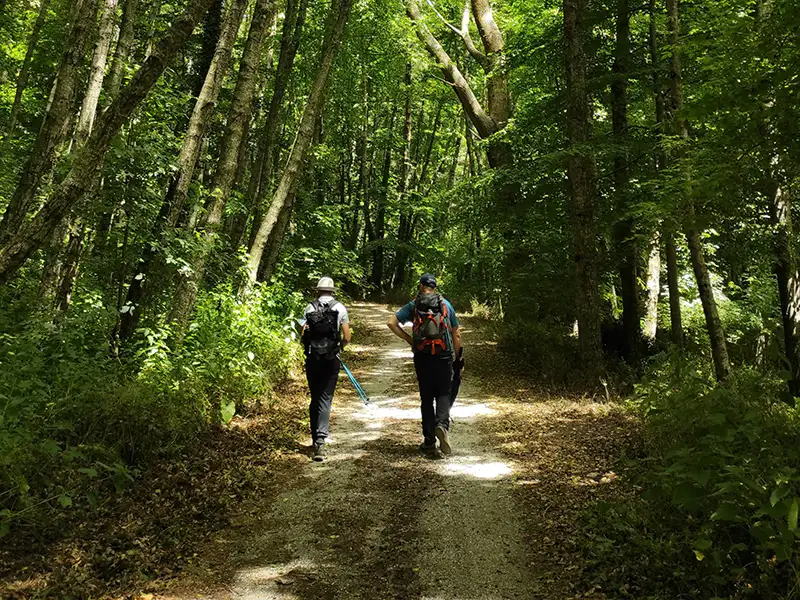 Geh mal wieder raus! | Riegele